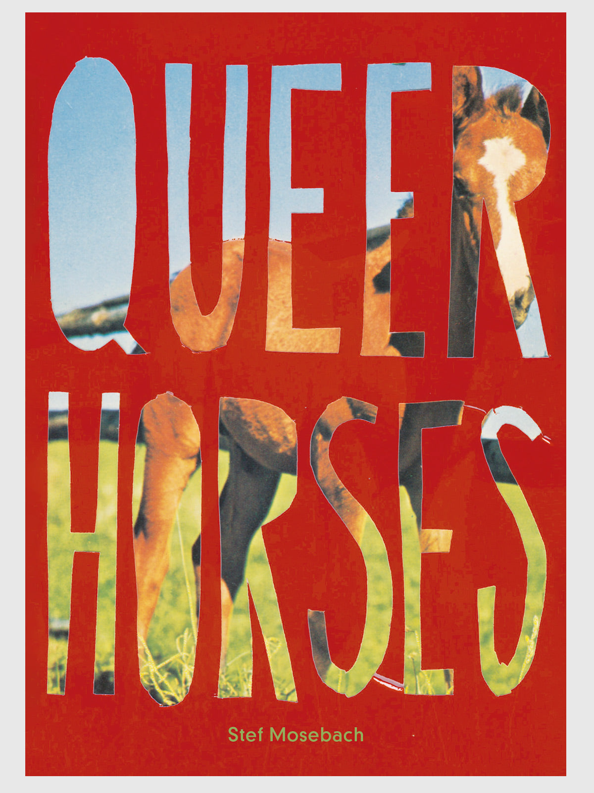 Queer Horses – Stef Mosebach