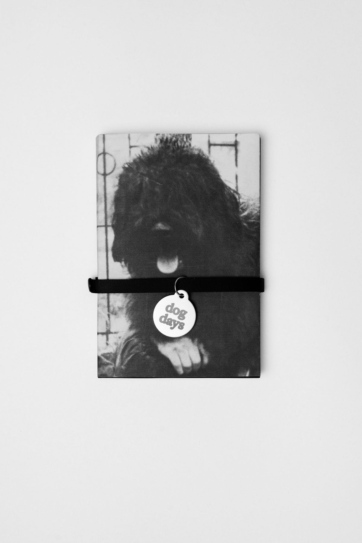 dog days – Helena Melikov (Ed.)