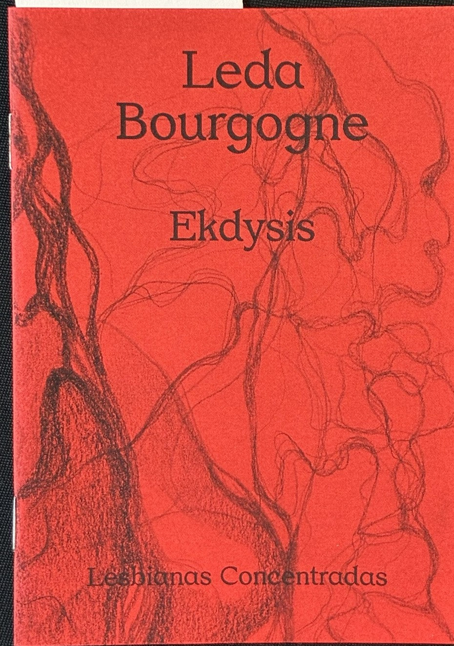 Ekdysis – Leda Bourgogne
