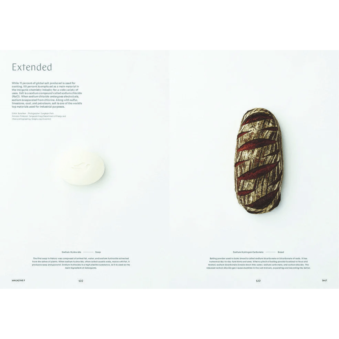 DASH Press - Magazine F - Issue N°1 SALT - B Media