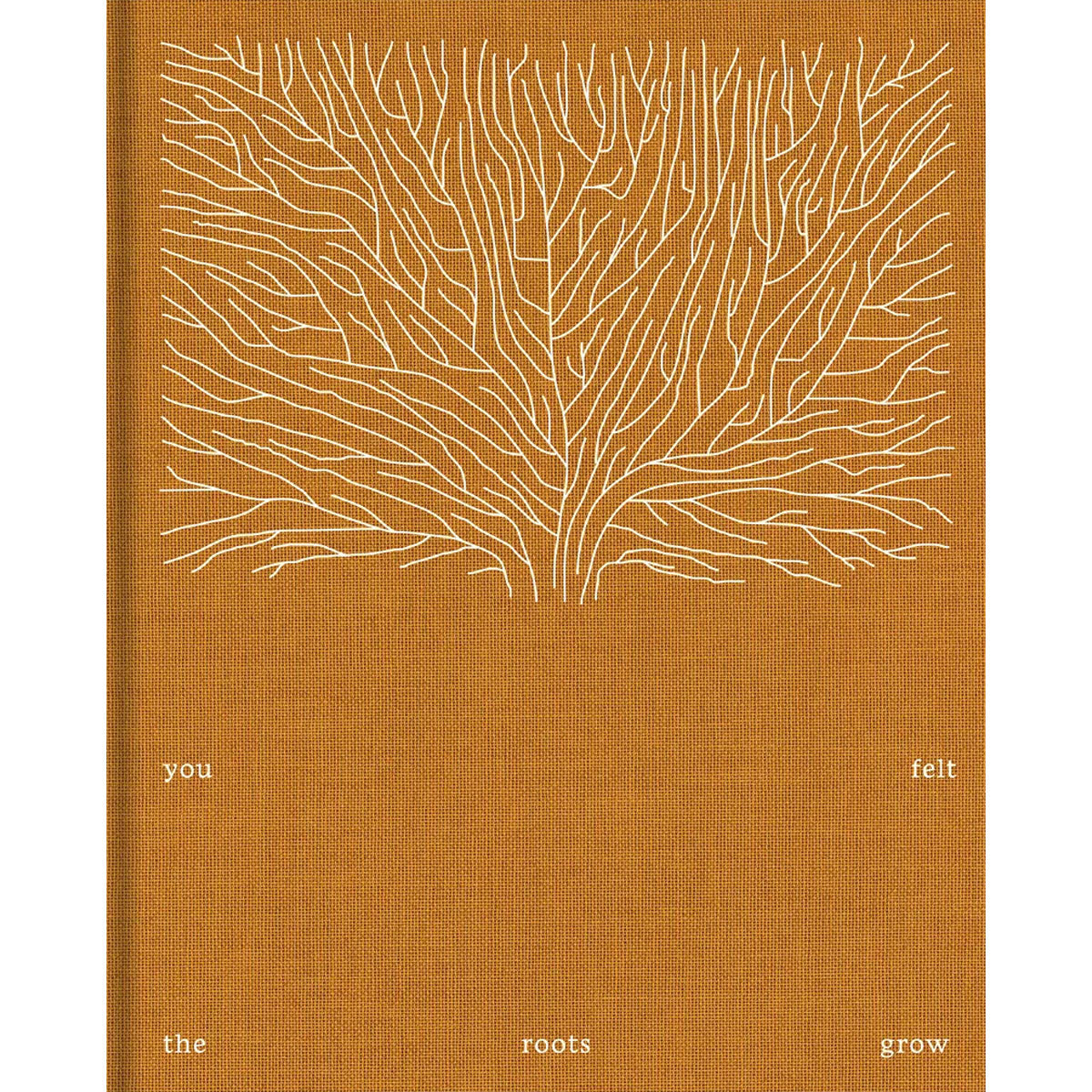 You Felt the Roots Grow Sabine Hess - DASH PRESS