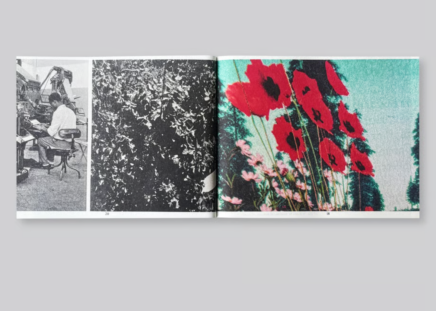 The most beautiful Swiss Books