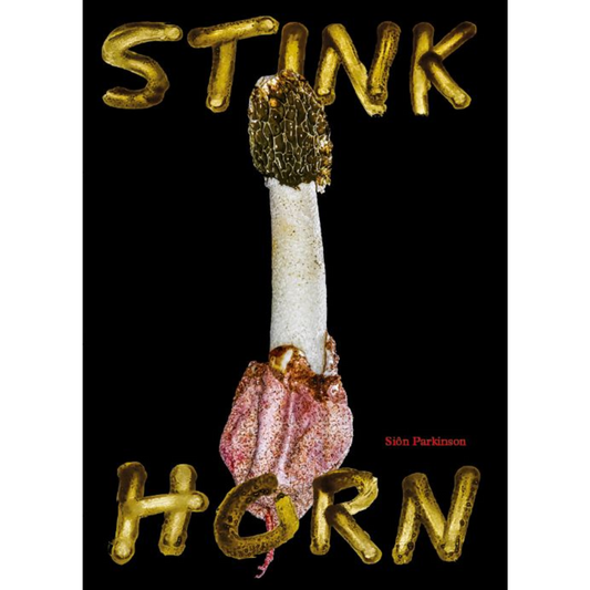 Stinkhorn - How Nature’s Most Foul Smelling Mushroom Can Change the Way We Listen