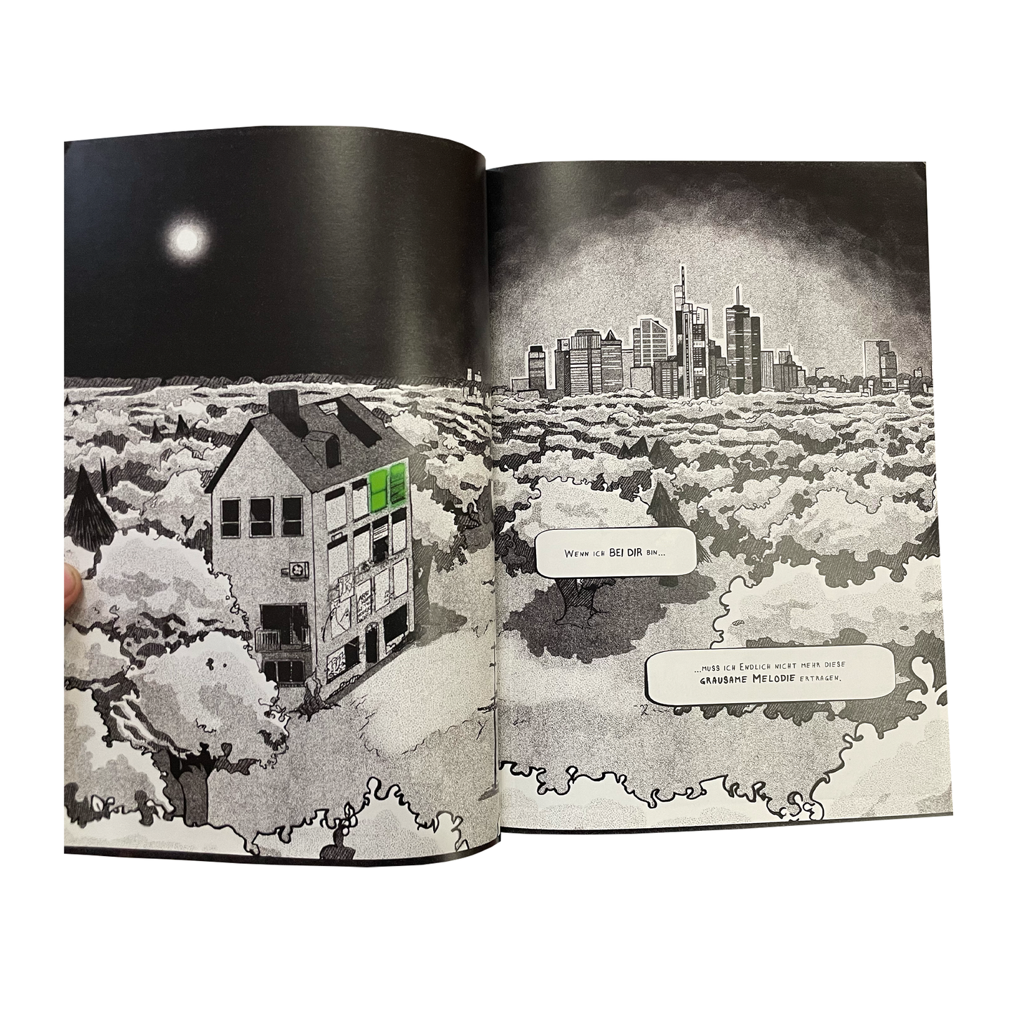 Frankfurt - Das Graphic Novel