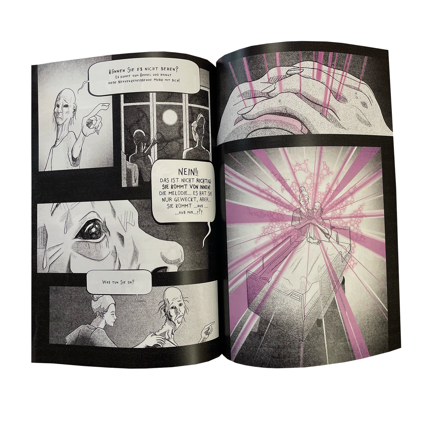 Frankfurt - Das Graphic Novel