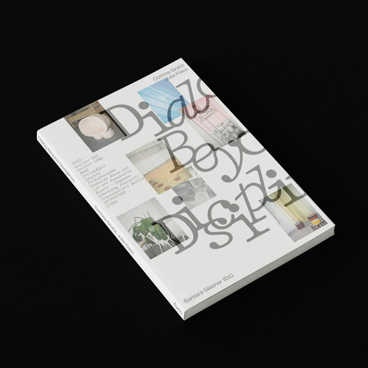 Dialog Beyond Disciplines – Verlag form