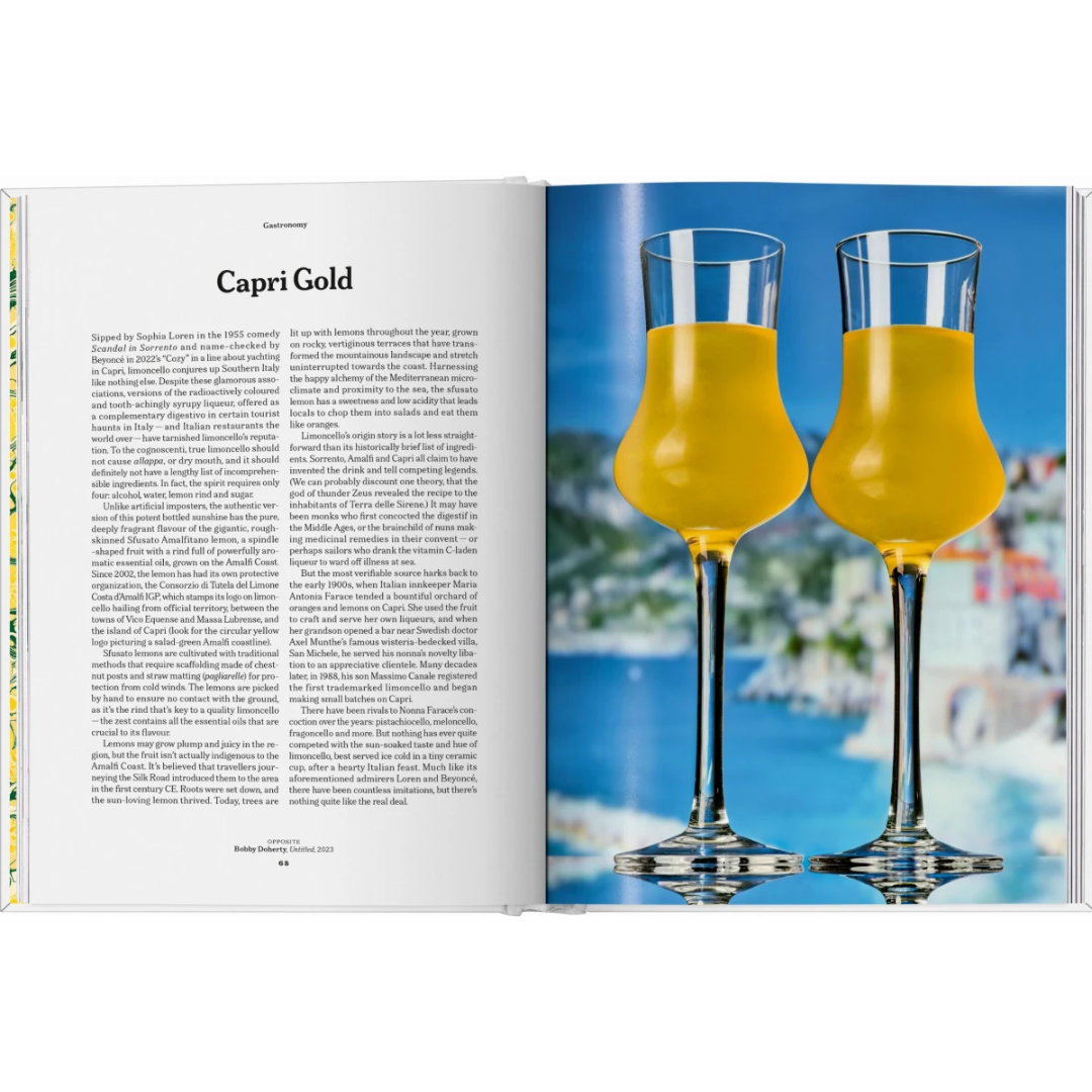 The Gourmand´s Lemon. A Collection of Stories and Recipes