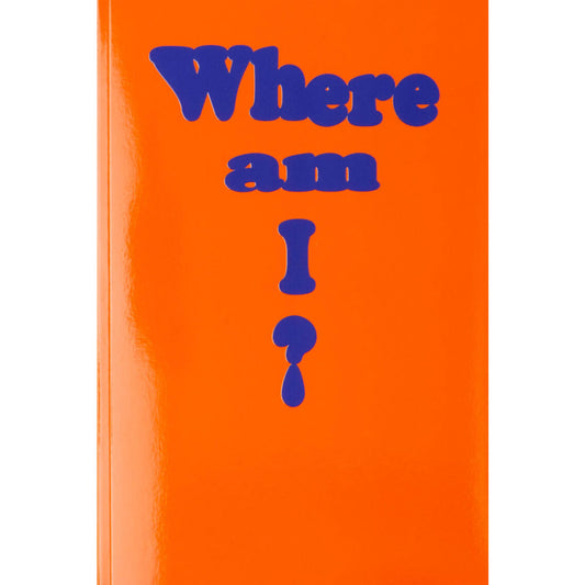 Where am I (Catalog 02) By Public Possession - DASH PRESS