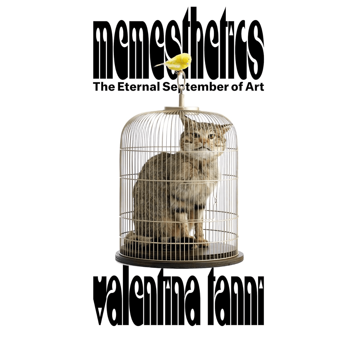 DASH GbR - Memesthetics - Valentina Tanni