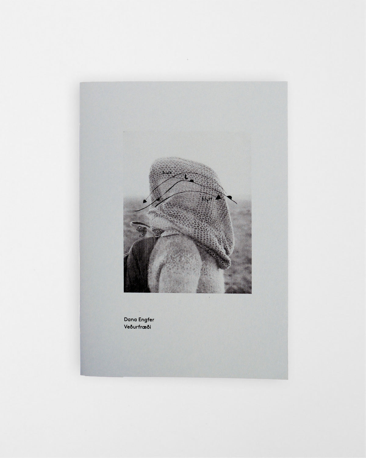 Veðurfræði – Dana Engfer